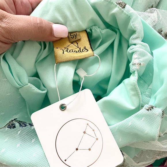 Pleiades Wild Lupine Ruffle Dress - Picture 13 of 13